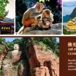 2-Day Tour of Mount Emei & Leshan Giant Buddha | Cultural & Scenic Adventure from Chengdu