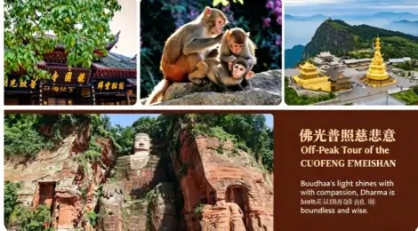 2-Day Tour of Mount Emei & Leshan Giant Buddha | Cultural & Scenic Adventure from Chengdu