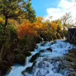 Chengdu & Jiuzhaigou In-Depth Travel Guide for Mid-to-Late November